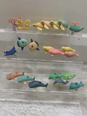 Marine Sea Aquarium Animals Iwako Japanese Puzzle Erasers • £6.50