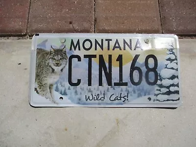 Montana Wild Cats!  License Plate # CTN 168 • $30