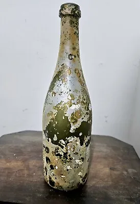 Shipwreck Bottle Wine Champagne • $61.66