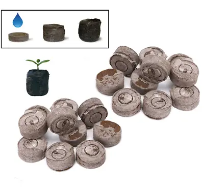 £5.39 • Buy JIFFY-7 Small Peat Compost Plug Seed Grow Propagation Hydro Pellets 24 X 43mm
