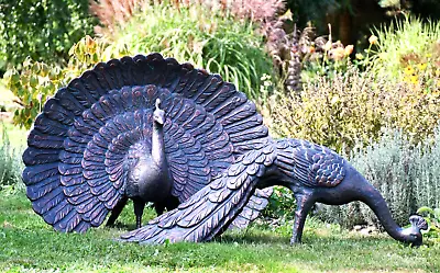 Pair Of Peacocks Garden Ornament ... Life Size Cast Aluminium Sculpture Statue • £899