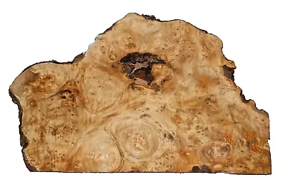 MYRTLEWOOD BURL SLAB LIVE EDGE TURNING CRAFT WOODWORKING APPROX 16x10.5x1.25 IN • $26.50