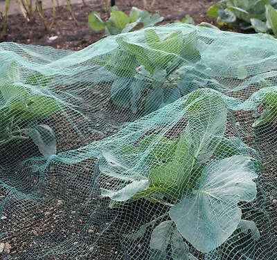 Butterfly Garden Netting Stop Birds And Cabbage Whites Brassica Netting Green • £14.99