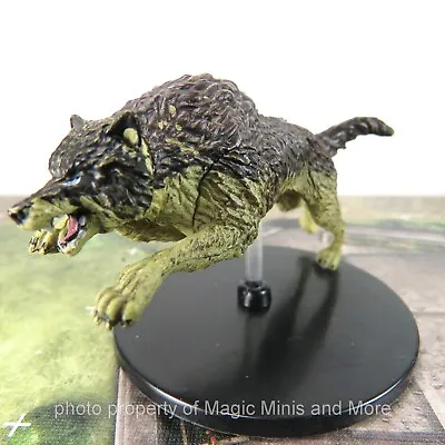 Waterdeep Dragon Heist ~ DIRE WOLF #31 Icons Of The Realms D&D Large Miniature • $5.98