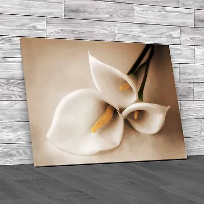Exquisite Calla Lilies Stunning And Colorful Canvas Print Large Picture Wall Art • £14.95