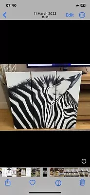 Zebra Wall Art Picture Black And White Set Of 3 • £8