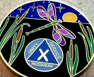 Black Gold Blue DragonFly Alcoholics Anonymous AA 10 Year Medallion Token Coin • $19.51
