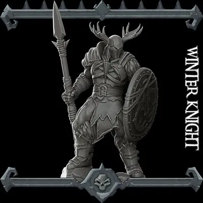 Barbarian Knight Fighter Resin Miniature 28mm 32mm Dungeon Dragons D&D RPG • $11.99