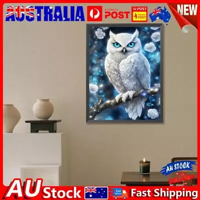 5D DIY Full Round Drill Diamond Painting Owl Kit Home Decor Art Craft 30x40cm • $11.29