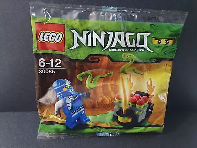 Lego 30085 Ninjago Jumping Snakes With Jay ZX  Minifigures • $31.09