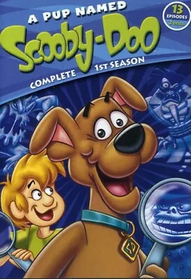 A Pup Named Scooby-Doo: Complete 1st Season (DVD 1988) • $9