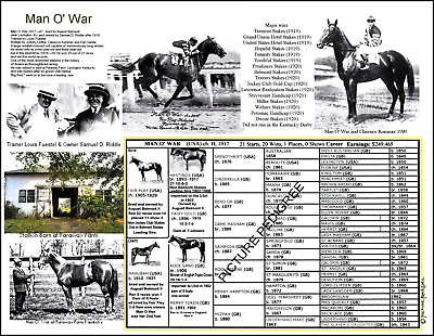 Man O' War Picture Pedigree 11 X 8.5 Frameready Man O War Race Horse Memorabilia • $8.50