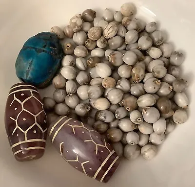 Lot Of Mini Conch Shells Bone Beads Nut Beads Blue Scarab 2 Large Ethnic Beads • $14