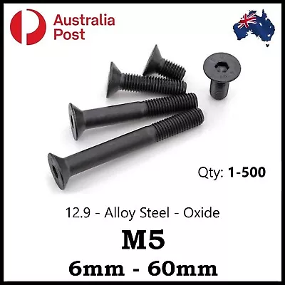 M5 (5mm) Countersunk Socket 12.9 Screw S Bolt S Hex CSK Course Alloy Black Oxide • $5.50