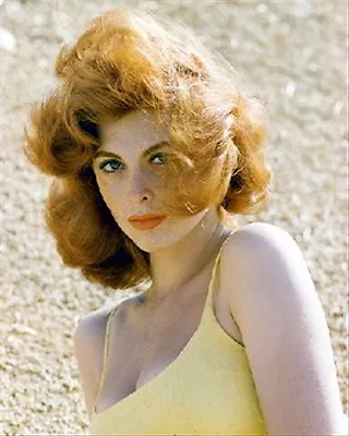 TINA LOUISE Poster Print 24x20  Iconic Photo 249870 • $37.43