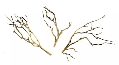 Aquarium Manzanita Thin Branchy Driftwood 3 Piece Set WYSIWYG  9  - `12  • $25.95