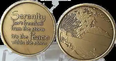 Serenity Lake Peace Within The Storm Bronze Medallion Chip Coin AA NA Sobriety • $6.99