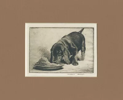 Museum Quality Reproduction Of A Morgan Dennis Etching - Beagle Puppy • $22