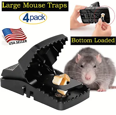 LARGE Mouse Traps Rat Mice Rodent Killer Snap Trap Reusable Heavy Duty Pest Trap • $5.69