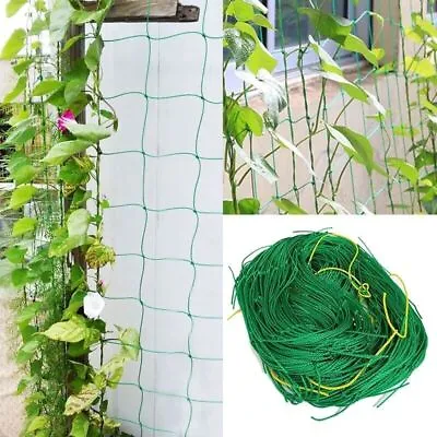 £4.55 • Buy Plant Support Mesh Garden Net Vegetable Fruit Climbing Netting Pea Bean Trellis.