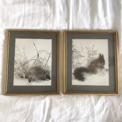 £55 • Buy Mads Stage Watercolour Squirrel & Hedgehog Signed Limited Edition Print Framed