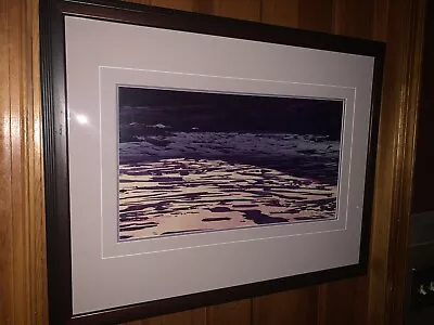 Thomas Mangelsen ~FIRE AND ICE ~ Wager Bay Ltd Edition Photograph 151/950 Signed • $549.99