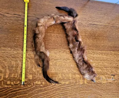 Vintage Mink Fur Stole 2 Whole Body Pelts Neck Wrap Shawl Aulabaugh • $29.99