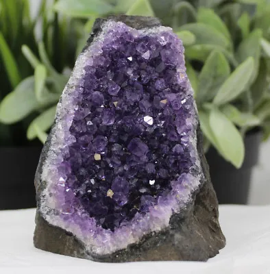 Stunning VERY LARGE Amethyst Cut Base Cluster Crystal Quartz Geode 1.1 - 1.8 Lb • $44.95