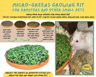 Micro-green Growing Kit - Nutritious Healthy Treat For Small Animals • £4