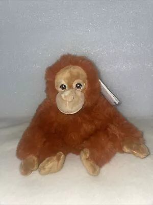 £8.50 • Buy Keel Toys KEELECO ORANGUTAN Monkey Soft Toy 100% RECYCLED Eco Plush New W Tags