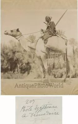 Egypt Mail Carrier On Camel Antique Albumen Photo • $65