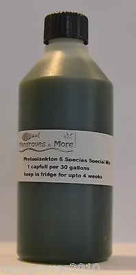 Live Marine Phytoplankton 6 Mix Special 250ml Nutrition For Reef Coral Copepod • £4.99