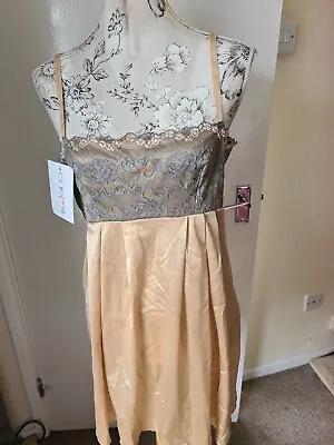 Casmir Negligee & Thong Size XXL UK16-18 BNWT • £12