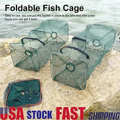 4 Pack Fishing Bait Trap Net Fish Cast Cage Crab Minnow Crawdad Shrimp Foldable • $18.99