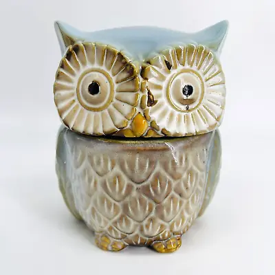 Ceramic Blue Glazed Pottery Owl Cookie Jar Canister-birds-kitchen Decor • $29.99