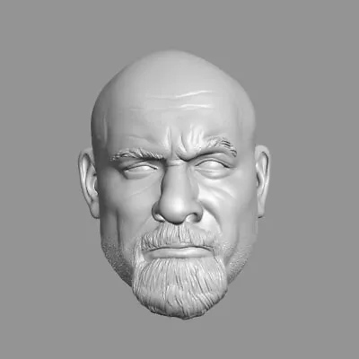 Bill Goldberg V2 WWE WWF Wrestlemania Royal Rumble Custom Head For Action Figure • $13.71