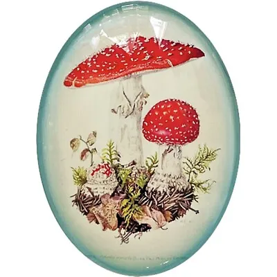 $2 • Buy Vintage Mushroom Illustration Cameo Cabochon Art Glass Victorian Botanical Plant