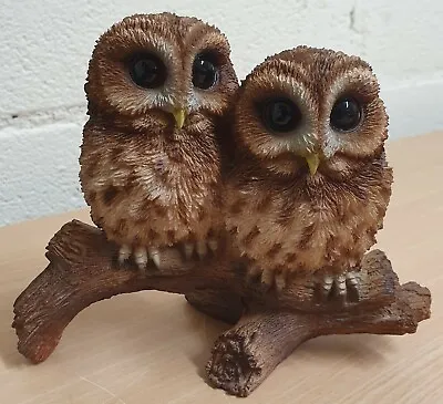 Vivid Arts Tawny Owls On Branch | Resin Home Or Garden Decoration | BG-TWNY-D • £19.99