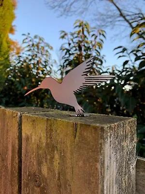 Hummingbird Bird Fence Topper Garden Decor Steel Gift • £7