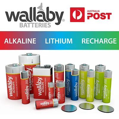 Wallaby AlkalineLithium Recharge AAAAACD9v23A27ANLR1CR123A Batteries  • $2.95