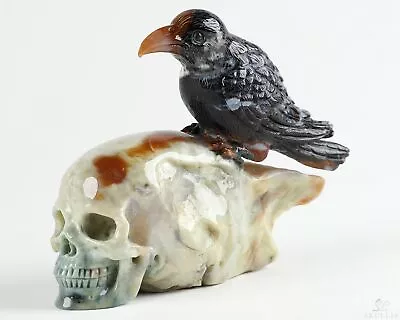 Original 4.7 Indian Agate Carved Crystal Skull Wand/point With Bird  Realistic • $879