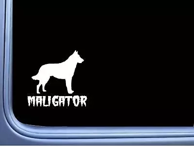 Maligator Belgian Malinois M350 6 Inch Sticker Decal Dog Caution K9 • $4.24