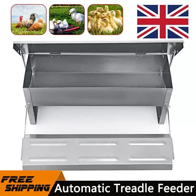 Automatic Chicken Chook Feeder Poultry Feeders Self Opening Treadle Trough UK • £23.50