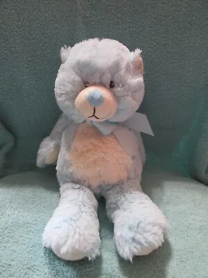 Baby Ganz My First Teddy Plush Blue 12  • $15.99