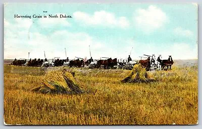 North Dakota~Grain Being Harvested In Field~Horse-Drawn Equipment~1909 • $9