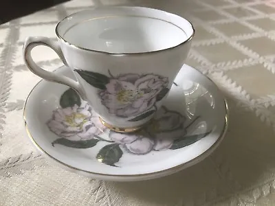 Royal Grafton  Fine Bone China Floral Tea Cup Saucer For Bellingrath Gardens AL • $18