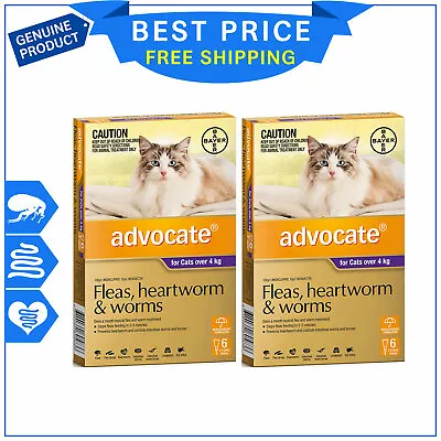 ADVOCATE For Cats Heartworm Flea Worm Prevention 12 Pipettes FREE Shipping • $165.99