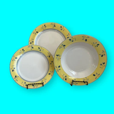 £32.44 • Buy Royal Doulton Blueberry 3 Piece Place Setting, Dinner Salad Plates Soup Bowl NIB
