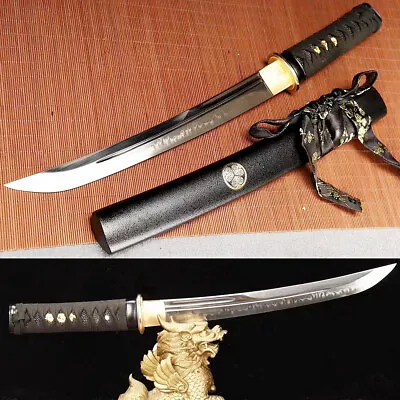 Japanese Tanto Samurai Sword Short Katana Clay Tempered T10Steel Battle Knife • $129