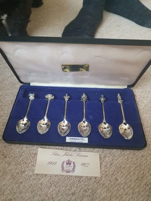 £9.99 • Buy Silver Plated Silver Jubilee Souvenir Set